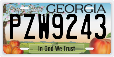 GA license plate PZW9243