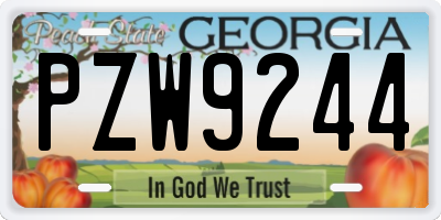 GA license plate PZW9244
