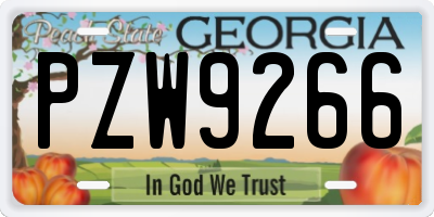 GA license plate PZW9266