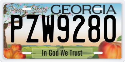 GA license plate PZW9280