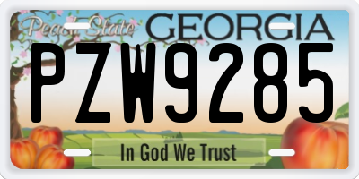 GA license plate PZW9285