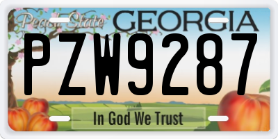 GA license plate PZW9287