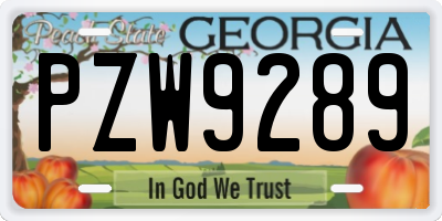 GA license plate PZW9289