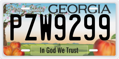 GA license plate PZW9299
