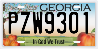 GA license plate PZW9301