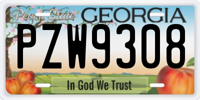 GA license plate PZW9308