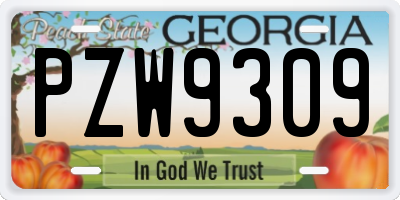 GA license plate PZW9309