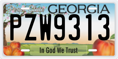 GA license plate PZW9313