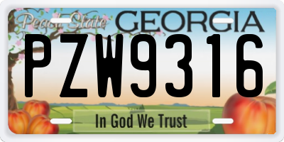 GA license plate PZW9316