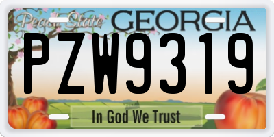GA license plate PZW9319