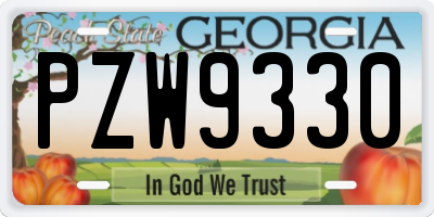 GA license plate PZW9330