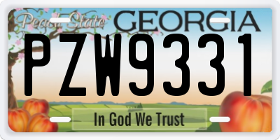GA license plate PZW9331