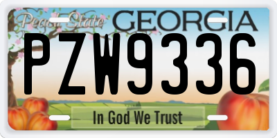 GA license plate PZW9336