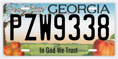 GA license plate PZW9338
