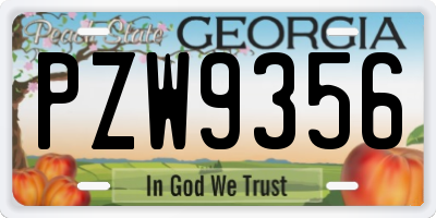 GA license plate PZW9356