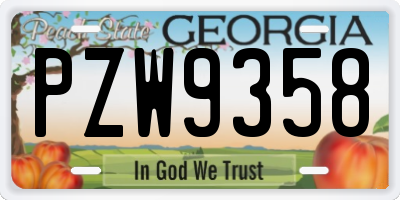 GA license plate PZW9358