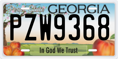 GA license plate PZW9368