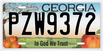 GA license plate PZW9372