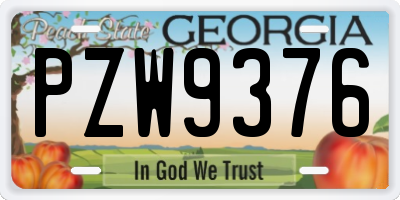 GA license plate PZW9376