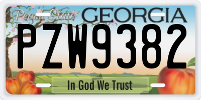 GA license plate PZW9382