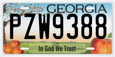 GA license plate PZW9388
