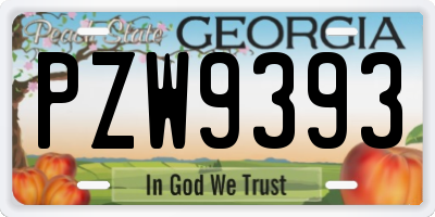 GA license plate PZW9393