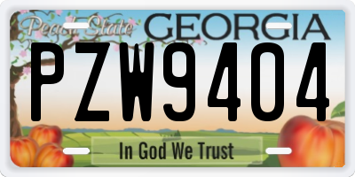 GA license plate PZW9404