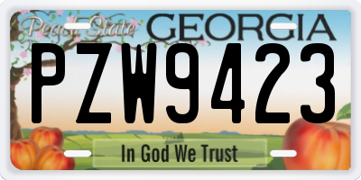 GA license plate PZW9423