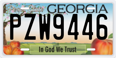GA license plate PZW9446