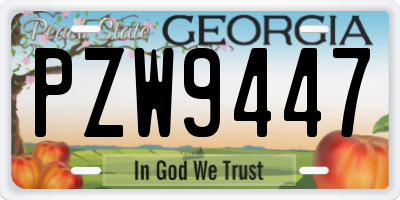 GA license plate PZW9447