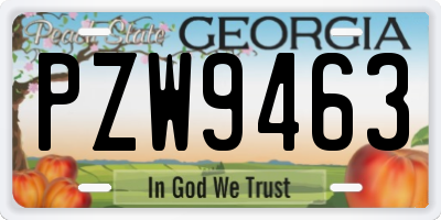 GA license plate PZW9463