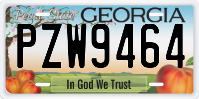 GA license plate PZW9464