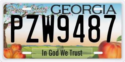 GA license plate PZW9487
