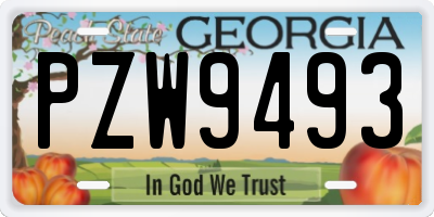 GA license plate PZW9493