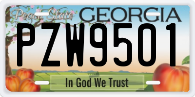 GA license plate PZW9501