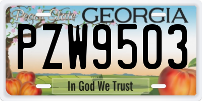 GA license plate PZW9503