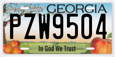 GA license plate PZW9504