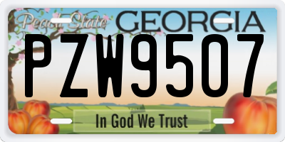 GA license plate PZW9507