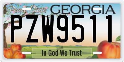 GA license plate PZW9511