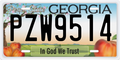 GA license plate PZW9514