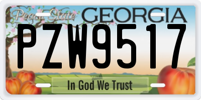 GA license plate PZW9517