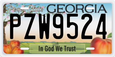 GA license plate PZW9524