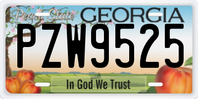 GA license plate PZW9525