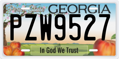 GA license plate PZW9527