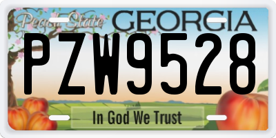 GA license plate PZW9528
