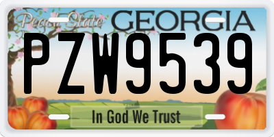 GA license plate PZW9539
