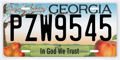 GA license plate PZW9545