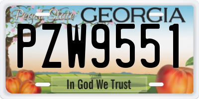 GA license plate PZW9551