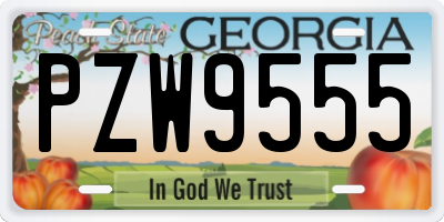 GA license plate PZW9555