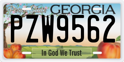 GA license plate PZW9562